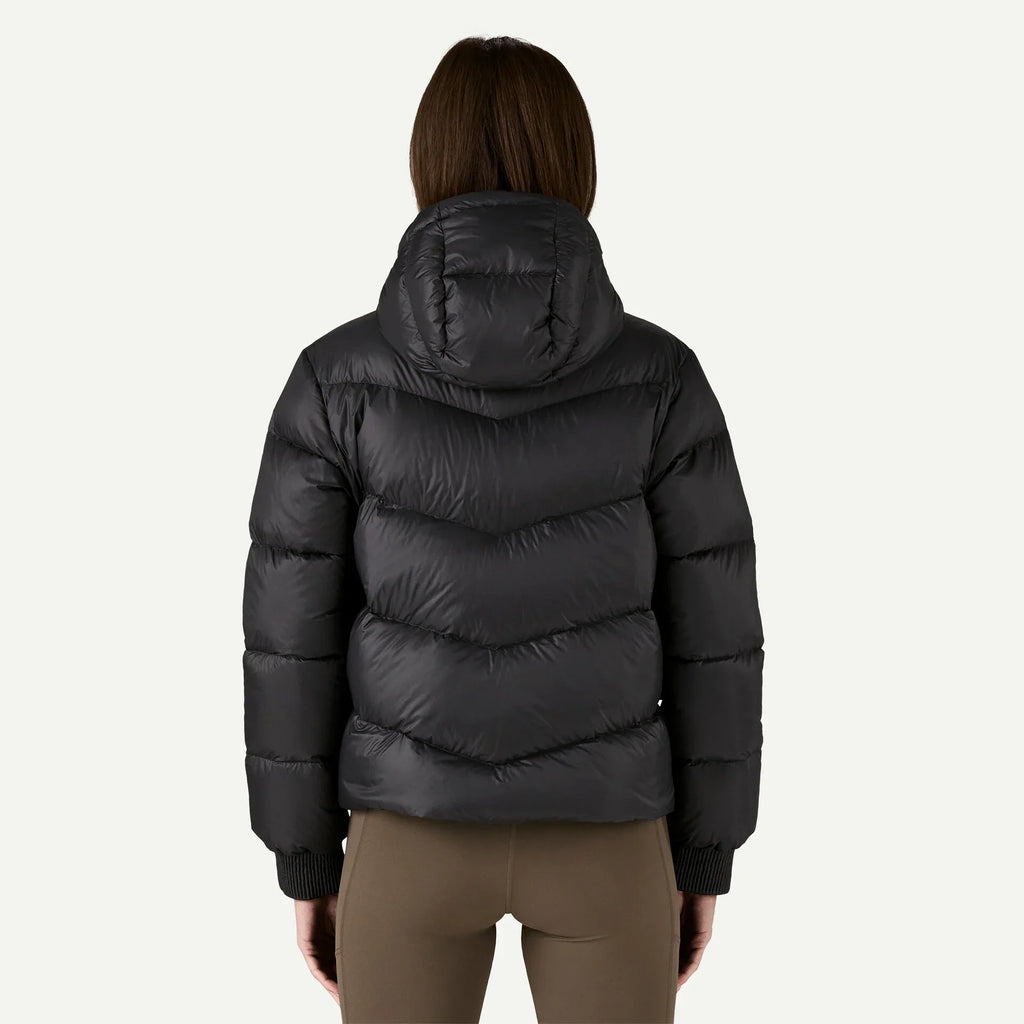 Patagonia Women's Sindit Hoody Jacket