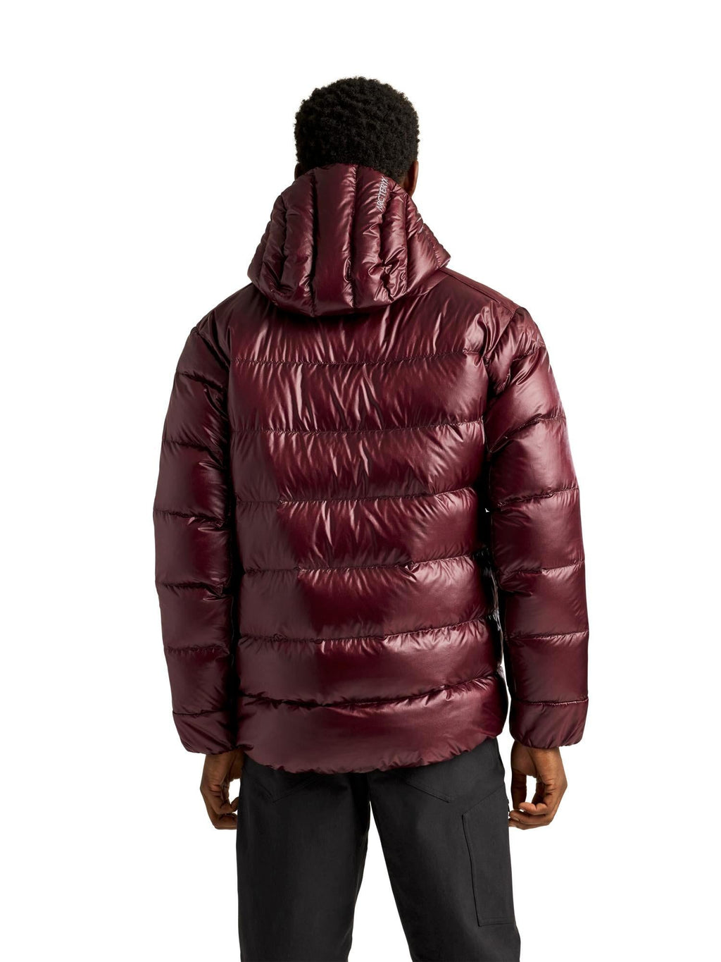 Arc'teryx Men's Cerium SV Hoody