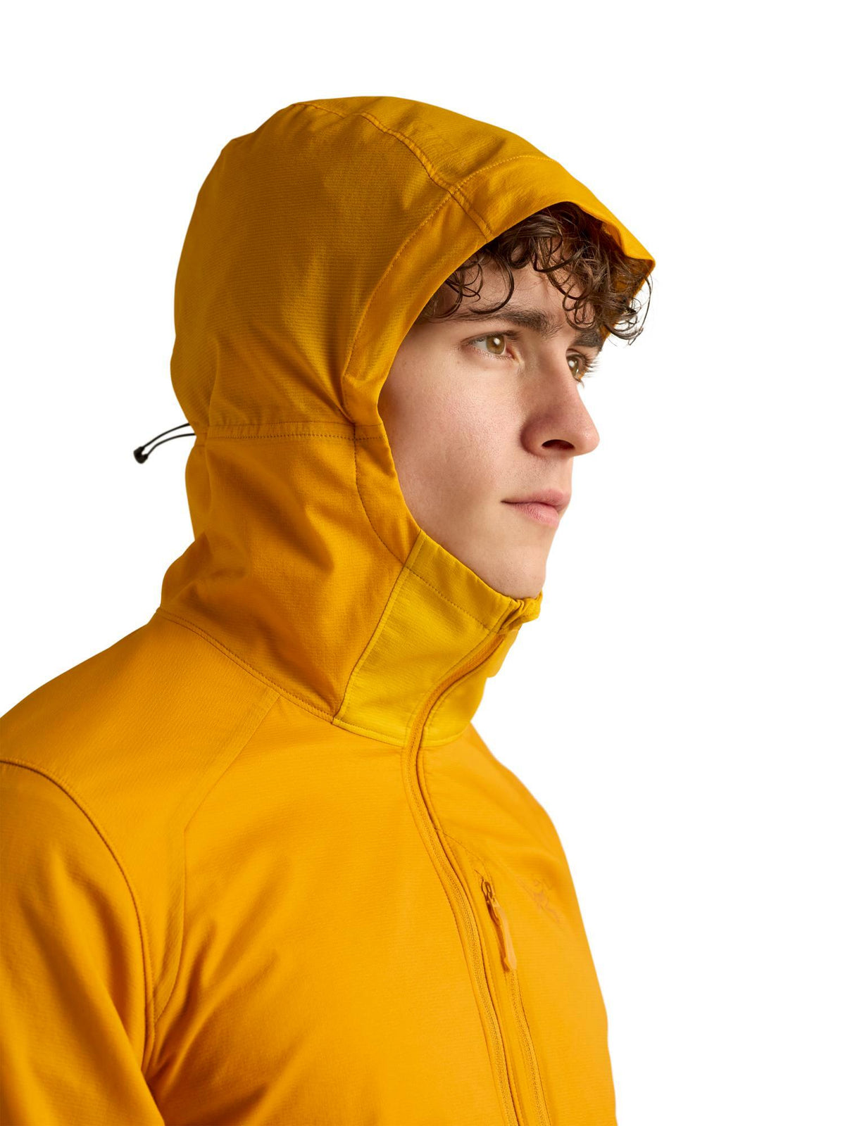 Arc'teryx Men's Delta Hybrid Hoody
